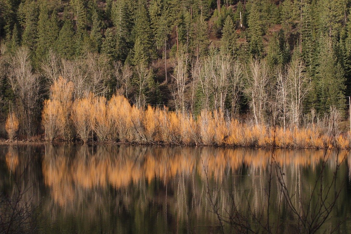 Killarney Lake a hidden treasure easy to find Coeur d'Alene Press